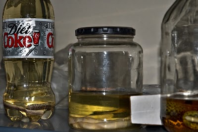 Preserved snakes... with one in a Diet Coke bottle?